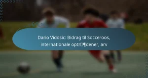 Read more about the article Dario Vidosic: Bidrag til Socceroos, internationale optrædener, arv
