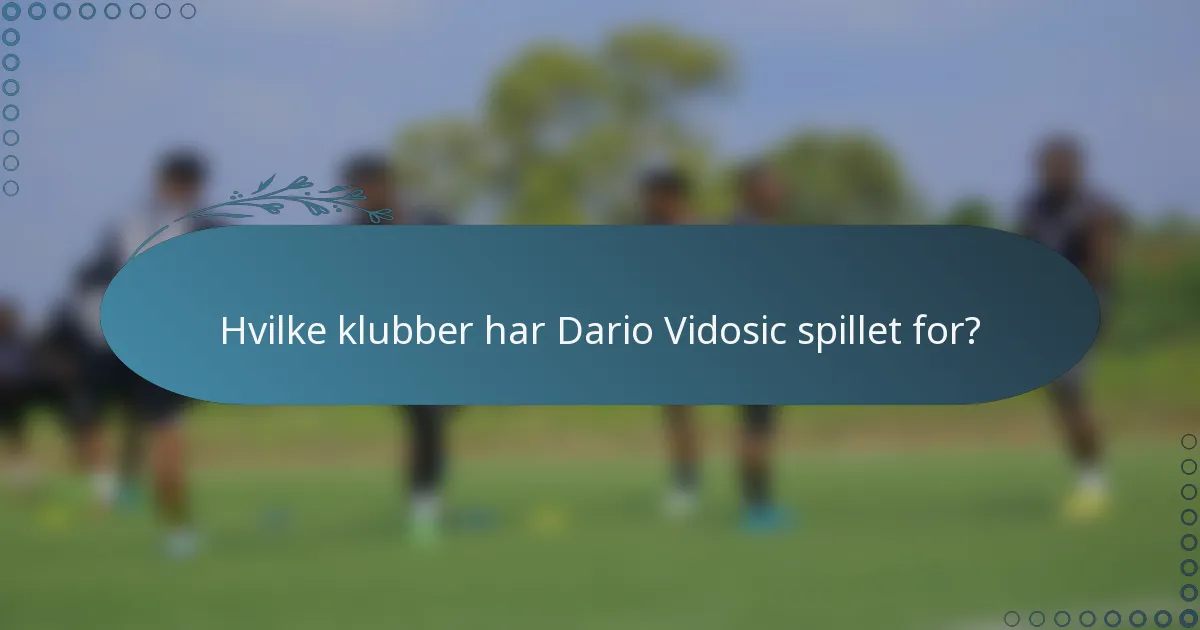Hvilke klubber har Dario Vidosic spillet for?