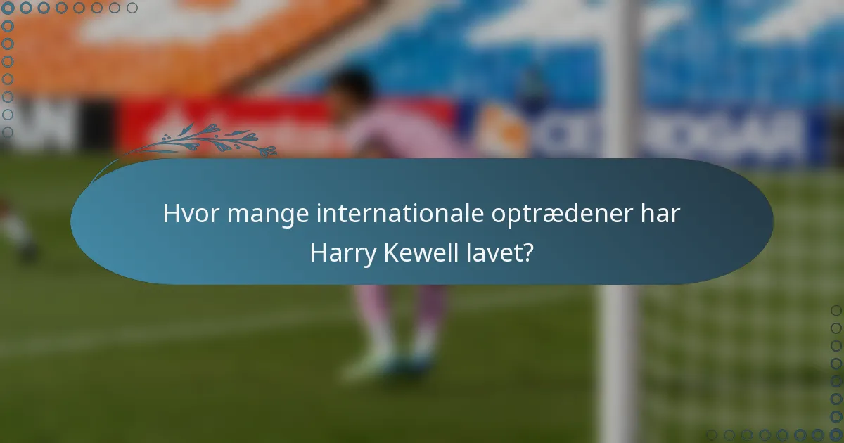 Hvor mange internationale optrædener har Harry Kewell lavet?