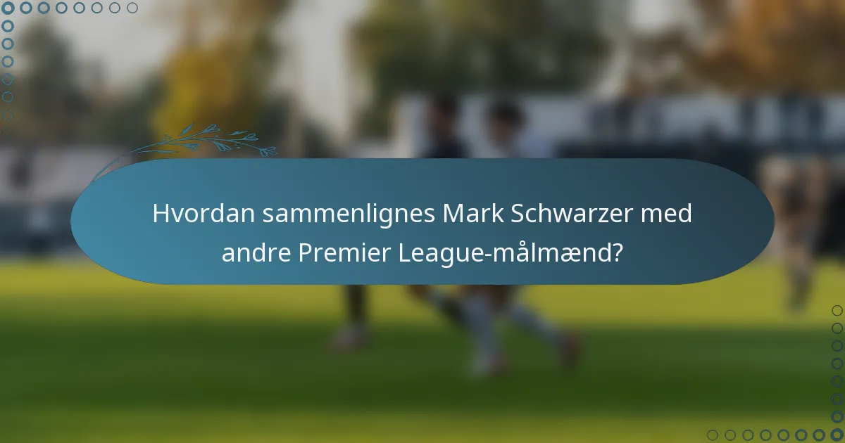 Hvordan sammenlignes Mark Schwarzer med andre Premier League-målmænd?